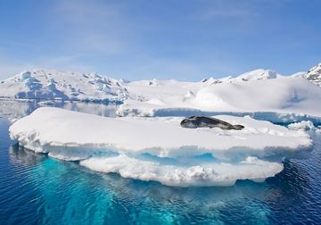 silversea-antarctica-cruise-leopard-seal